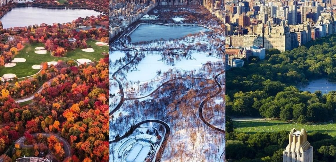 Things to Do in Central Park for Spring, Summer, Fall, and Winter